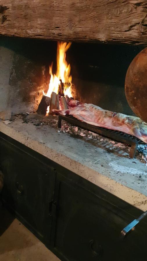 Casa Al Pie De Los Andes Lujan de Cuyo ภายนอก รูปภาพ